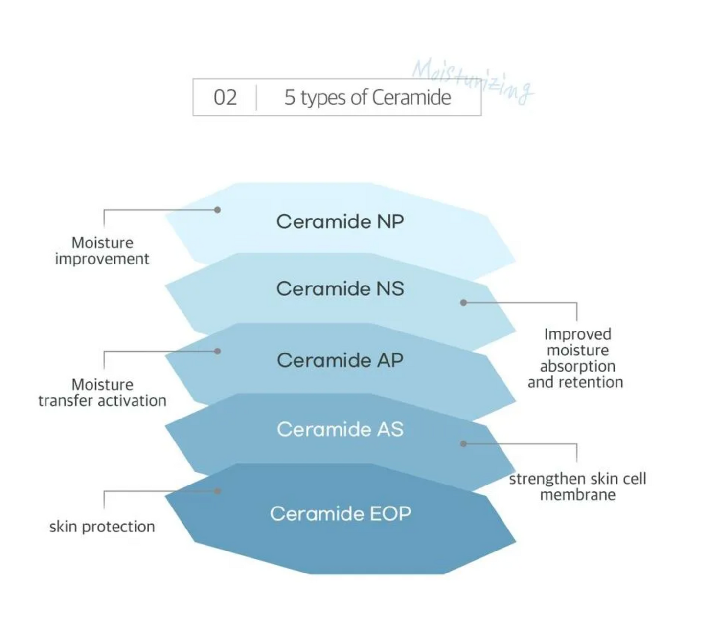 ROUND LAB 1025 Dokdo Cleansing Milk 200ml