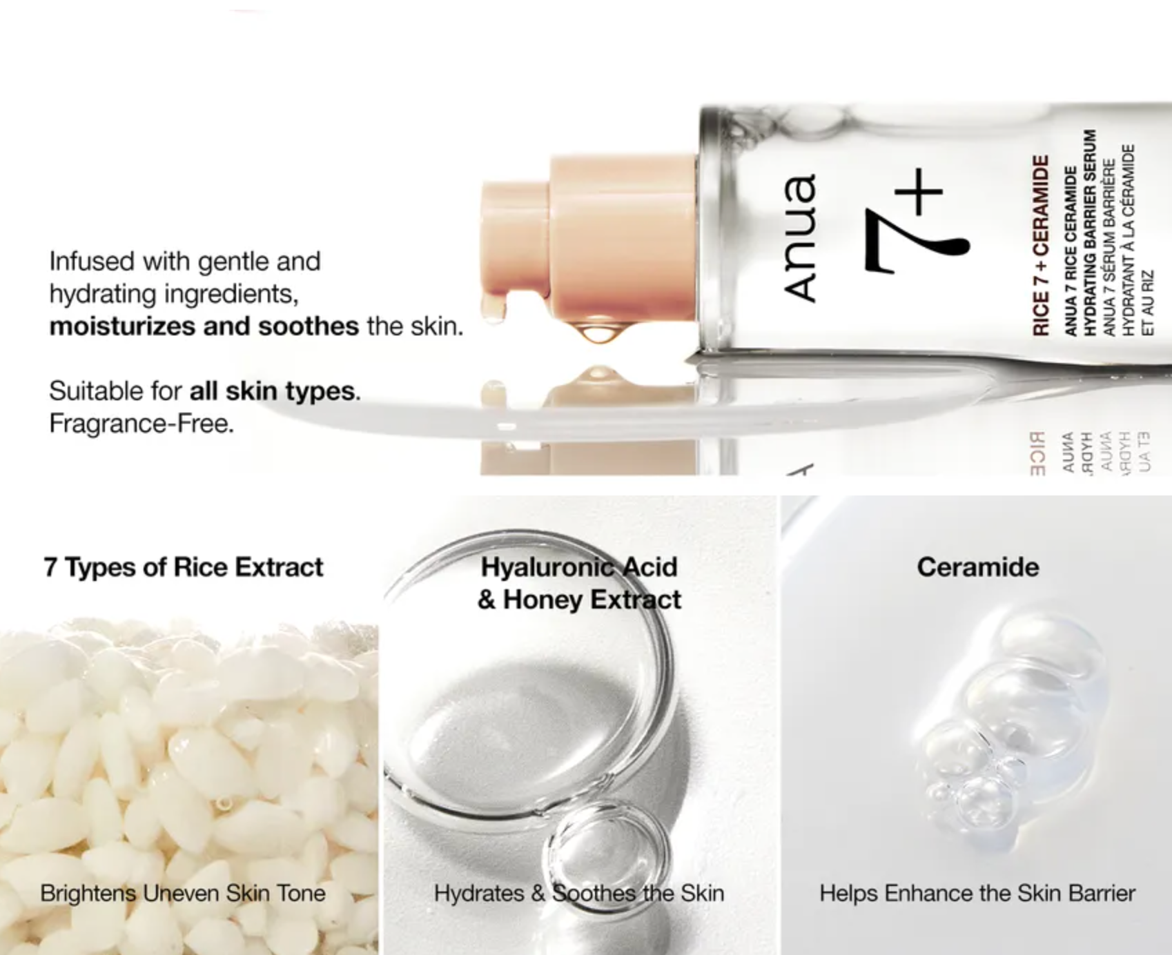 Anua - 7 Rice Ceramide Hydrating Barrier Serum – My Skin Spot